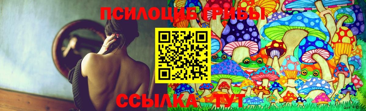 Галлюциногенные грибы мухоморы Губкинский