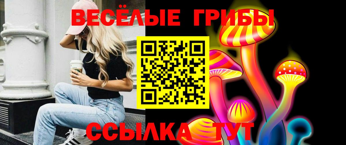 Губкинский  Псилоцибиновые грибы прущие грибы  Вход с VPN 
